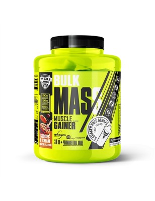 BULK MASS 3KG YOULABS