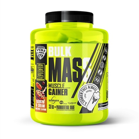 BULK MASS 3KG YOULABS