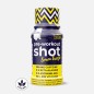 BOOSTER PRE WORKOUT SHOT 60ML PULS