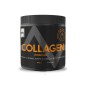 COLLAGEN 300G PULS