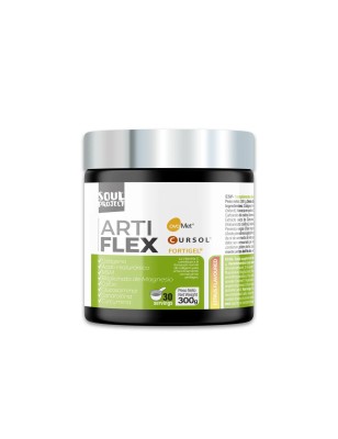 ARTIFLEX 300G HYPERTROPHY