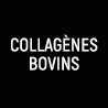Collagènes bovins