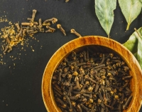 Pourquoi utiliser de l'Ashwagandha